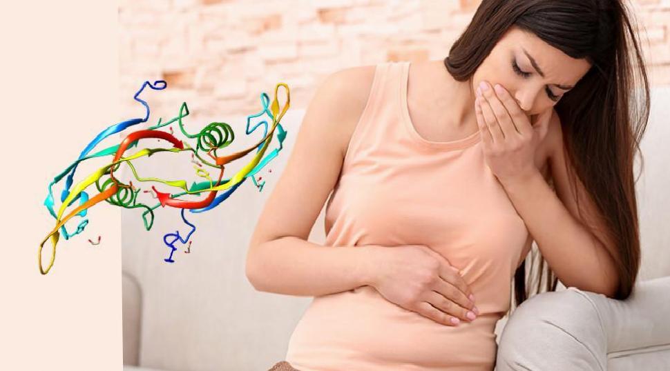 Bulantı ve Kusmanın Etkileri