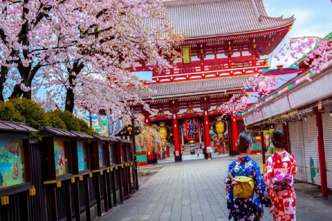 Japonya: Kendine Özgü Kültürün ve Güzelliğin İzinde