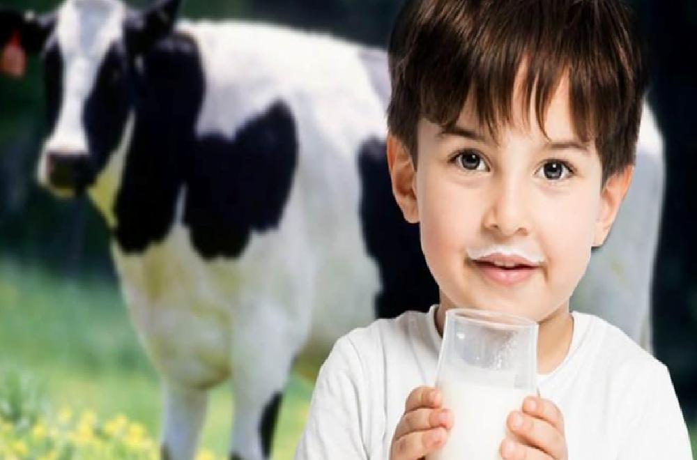 Sütün Çocuk Sağlığına Katkıları