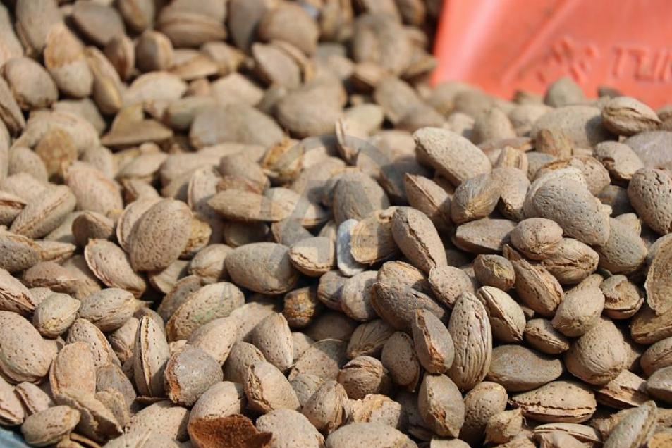 Bademin Zihni ve Vücudu Canlandırıcı Etkisi