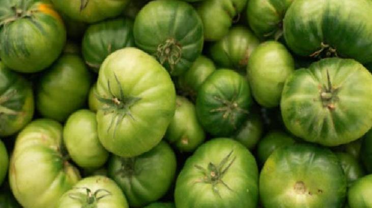 Kilo Kontrolü ve Enerji Verici Özellikleri