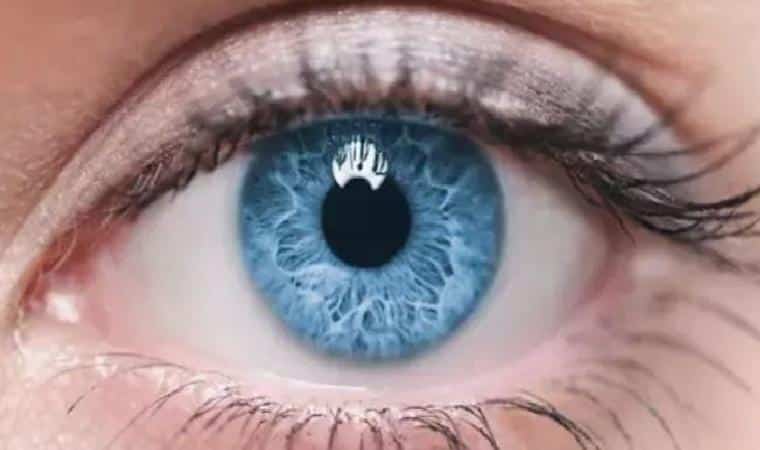 Mavi Gözlerin Genetik Evrimi