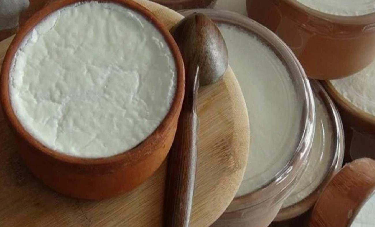 Silifke Yoğurdu Avrupa'dan Coğrafi İşaret Tescili Aldı