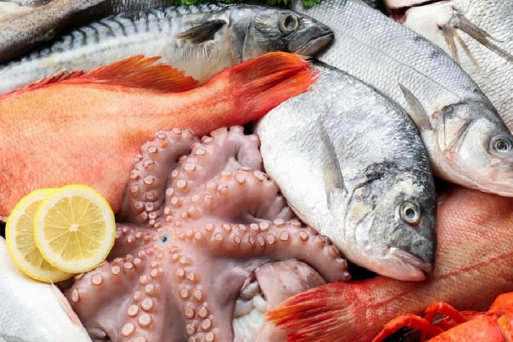 Sürdürülebilir Balıkçılık ve