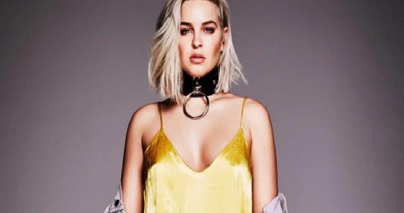 Anne-Marie İkinci Çocuk Müjdesini Verdi