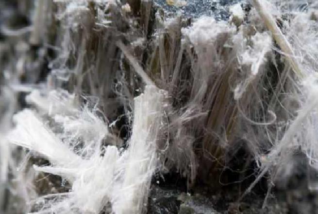 Asbest Fayans Şoku: TikTok Kullanıcısı Holli'nin Deneyimi