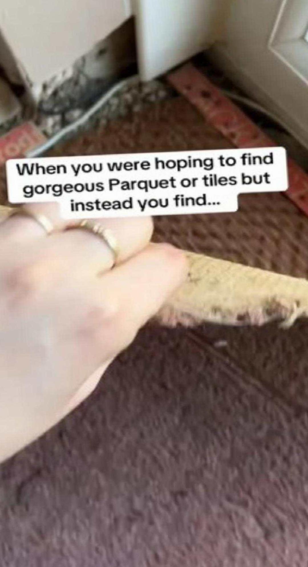 Asbest Fayans Şoku: TikTok Kullanıcısı Holli'nin Deneyimi