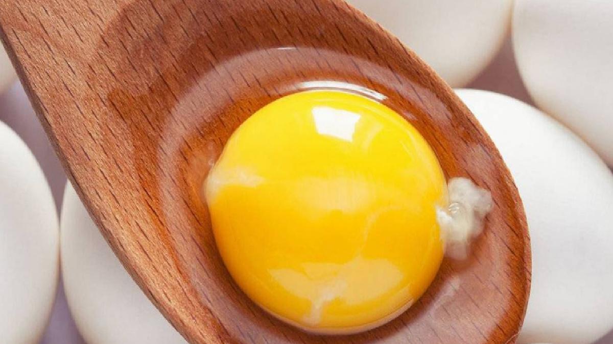 Yumurtanın Bebek Beslenmesindeki Önemi