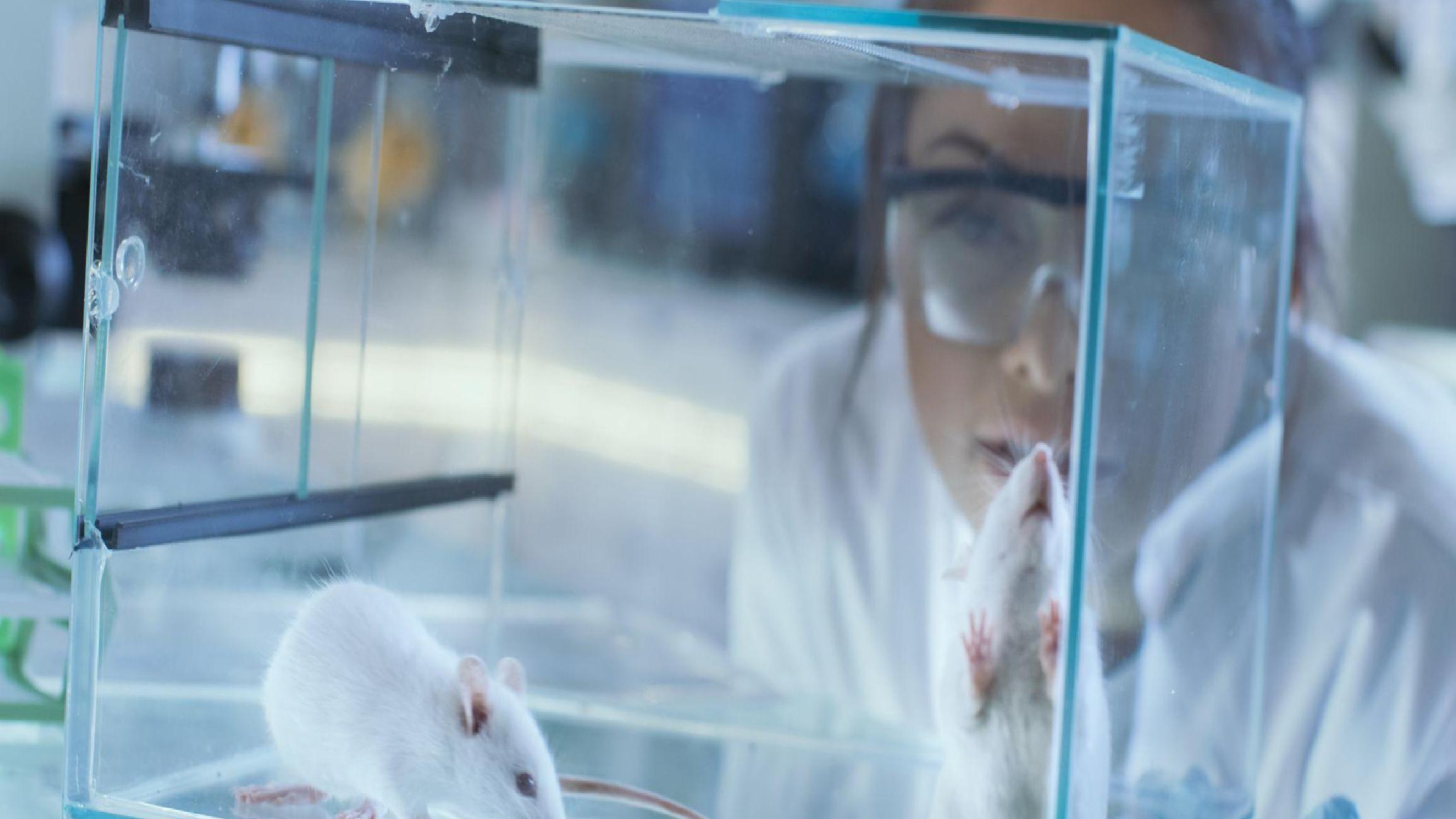 Alzheimer, Travma ve Yapay Zeka Üzerine Etkileri