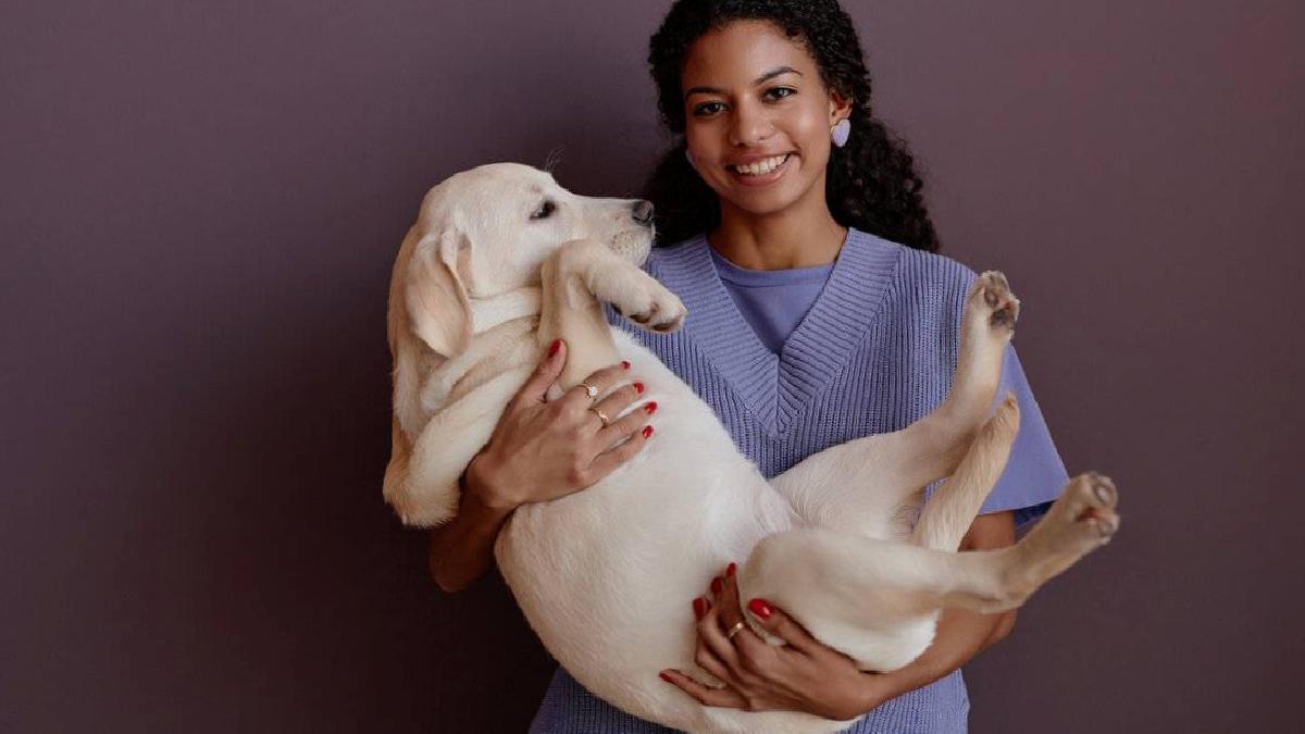 Hayvanlar ve İnsanlar Arasındaki Derin Bağ