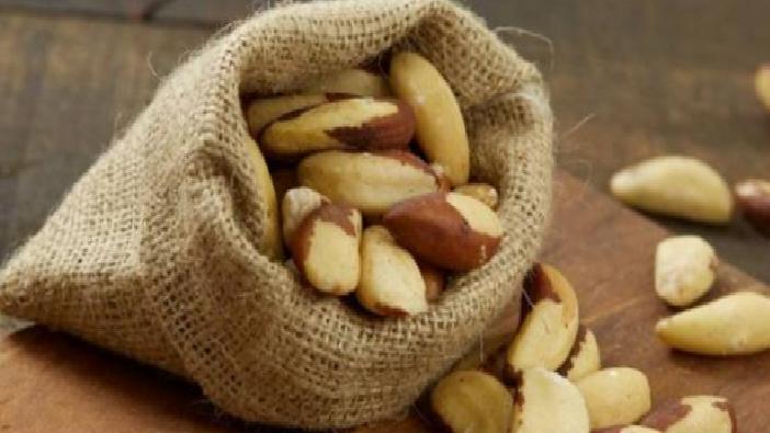 Kaktüslerin Geleceği