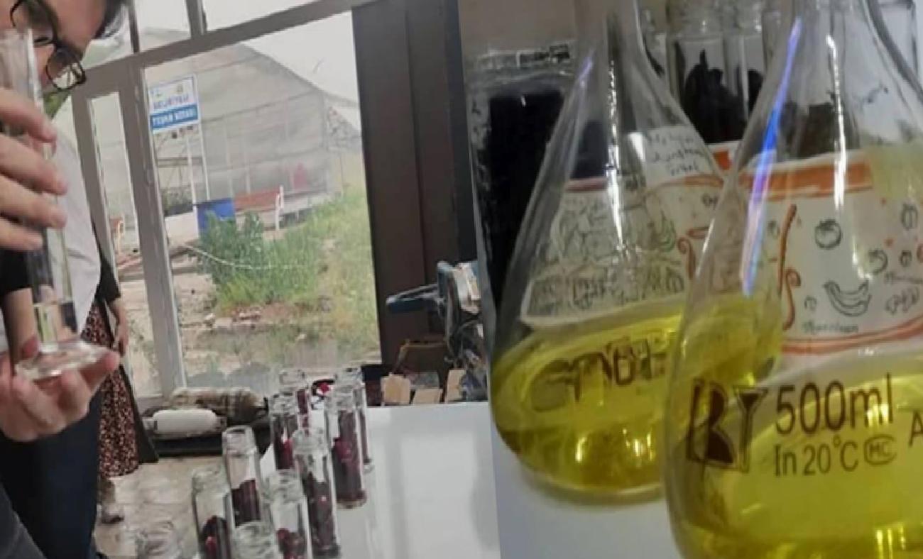 Karagül: Türkiye'nin Nadir Güzelliği