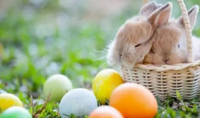 Paskalya Nedir ve Ne Zaman Kutlanır?