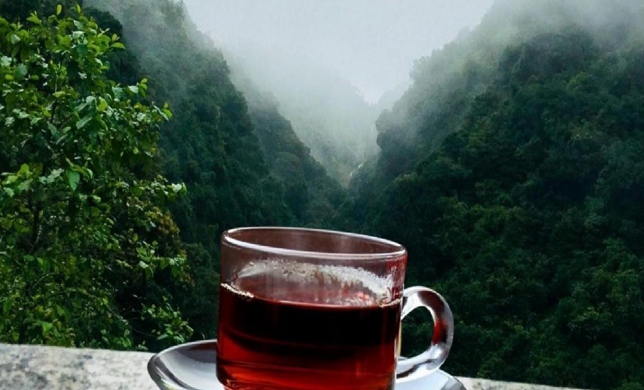 Siyah Çayın Sağlığa Faydaları