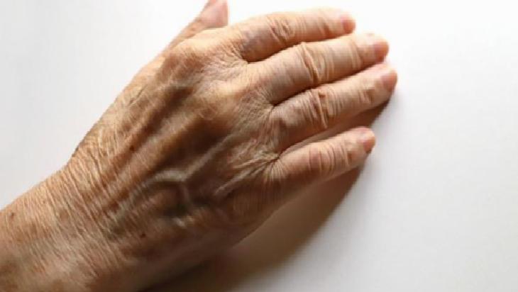 Doğal El Kremleri ile Cilt Bakımı: Evde Kolay Tarifler