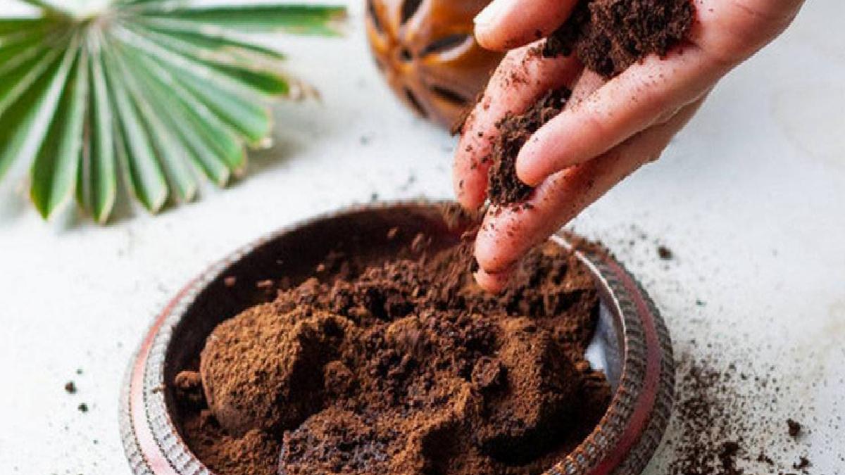 Kahve Telvesini Kullanabileceğiniz 5 Farklı Alan