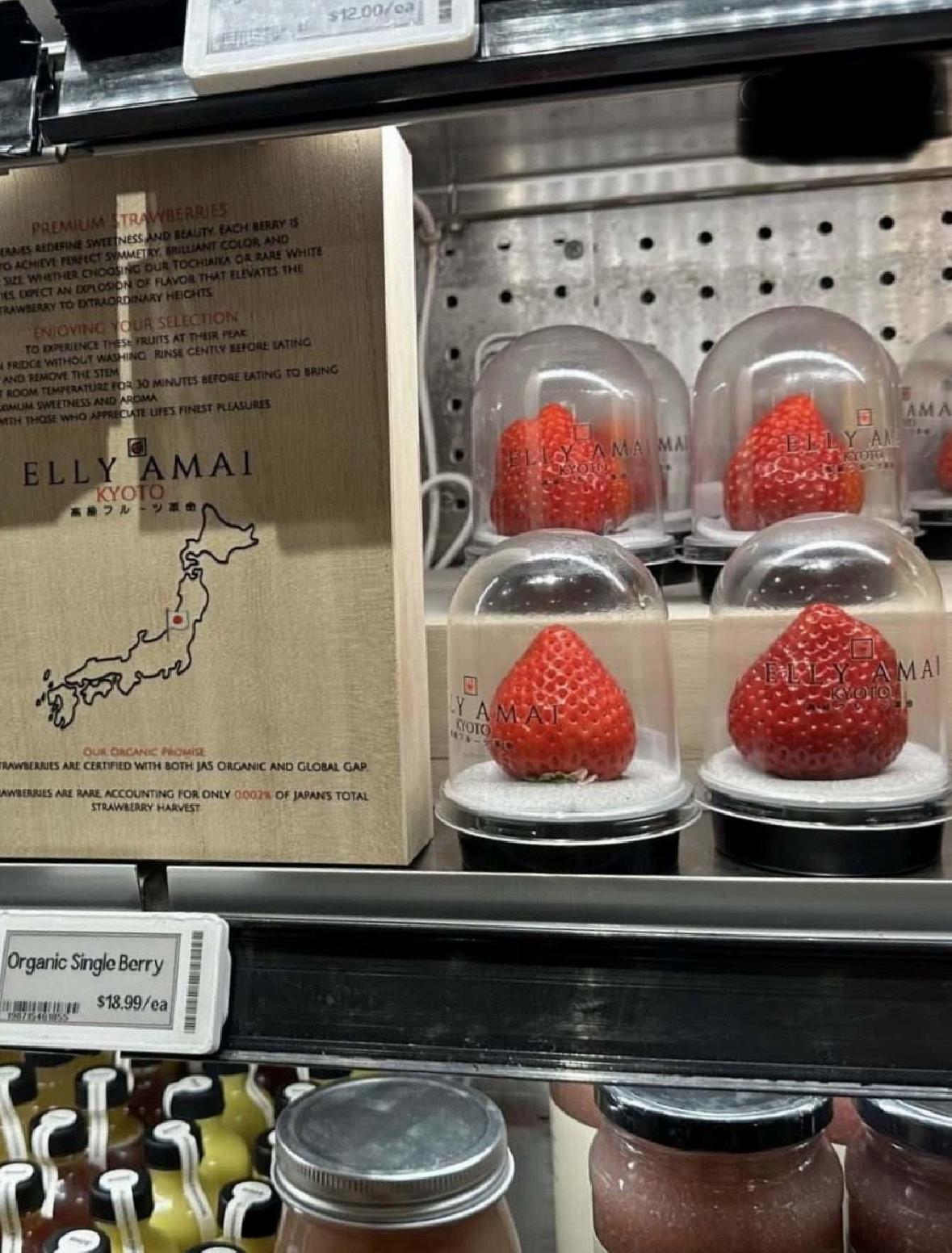 Kyoto'dan Gelen Lüks Çilek Sosyal Medyada Şok Yarattı