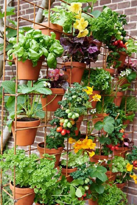 Mart Ayında Bahçe Bakımı ve Dekorasyonu