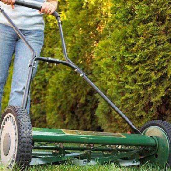 Mart Ayında Bahçe Bakımı ve Dekorasyonu