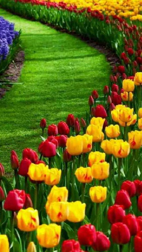 Mart Ayında Bahçe Bakımı ve Dekorasyonu