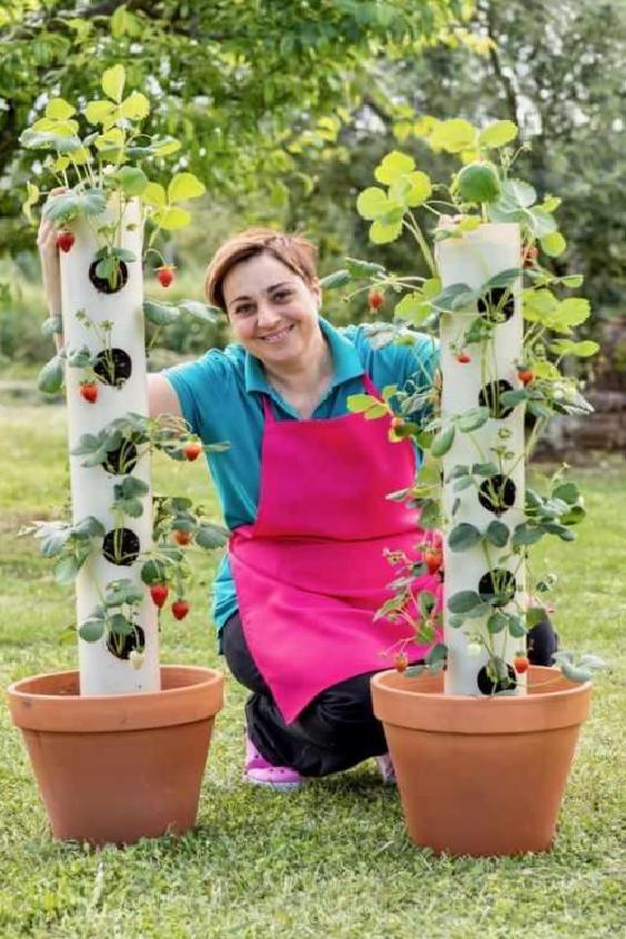 Mart Ayında Bahçe Bakımı ve Dekorasyonu