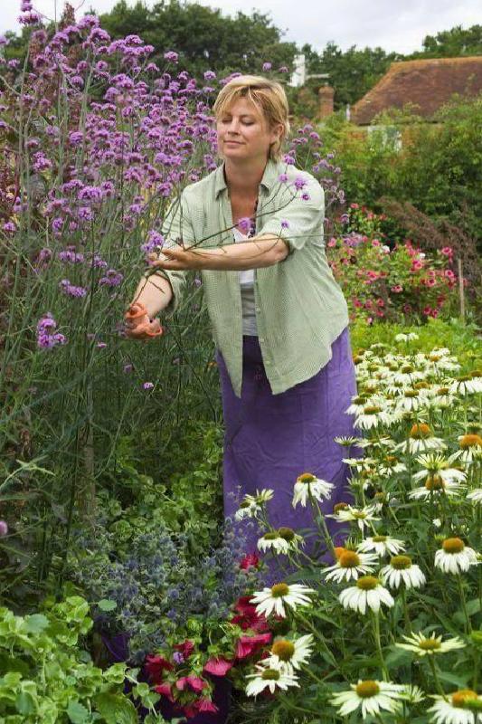 Mart Ayında Bahçe Bakımı ve Dekorasyonu