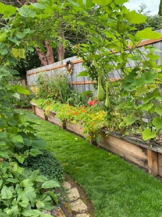 Mart Ayında Bahçe Bakımı ve Dekorasyonu