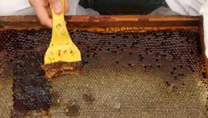 Mersin'in Eşsiz Sedir Balı: Faydaları ve Yüksek Talep