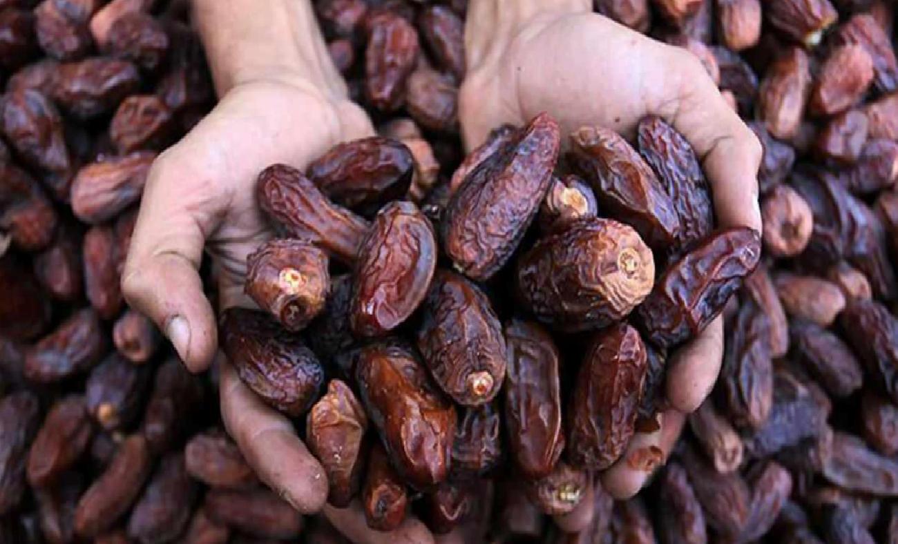 Ramazan Ayının Vazgeçilmezi: Hurma