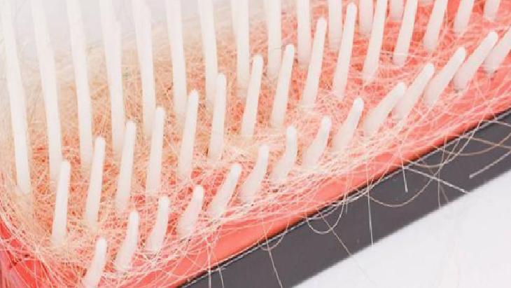 Saç Fırçalarının Temizliği ve Saç Sağlığı Üzerindeki Önemi