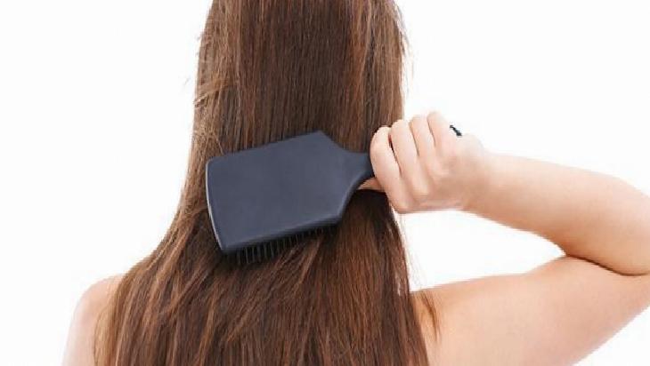 Besleyici Yağların Rolü