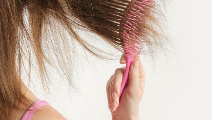 Aloe Vera'nın Faydaları