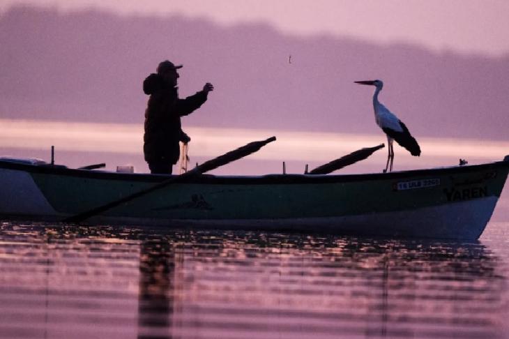 Yaren Leylek 14. Yılda da Göçüp Geldi
