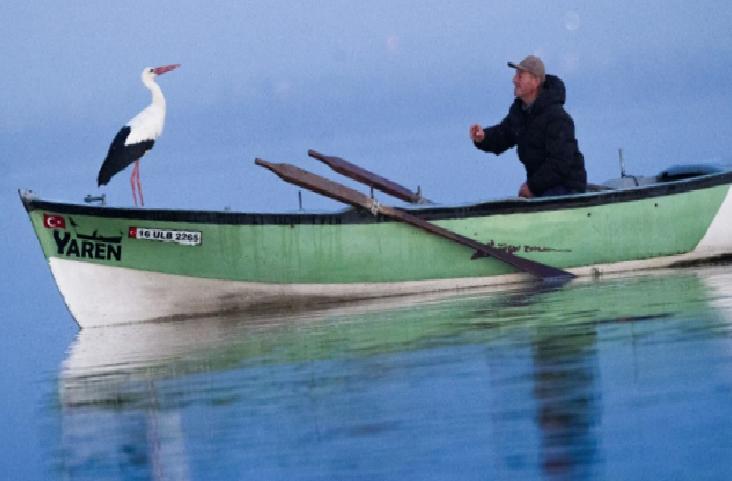 Her Göç Mevsiminde Balıkçının Kayığına Konuyor