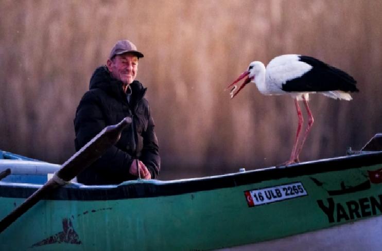 Gagasındaki Lekeden Tanıyor