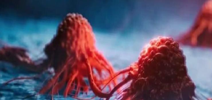 Genetik ve Tırnaklar Arasındaki Bağlantı