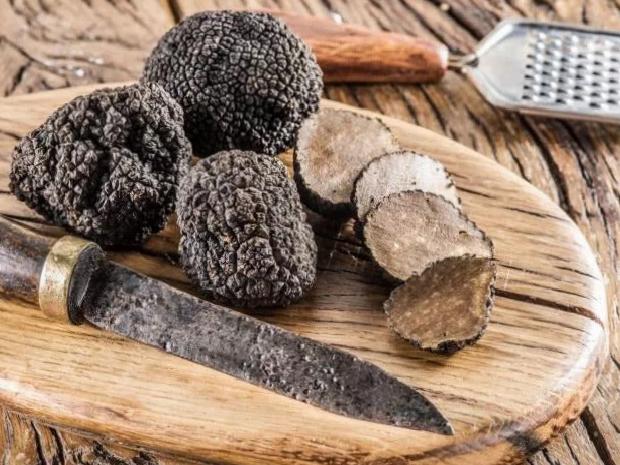 Önemli Dikkat Edilmesi Gerekenler