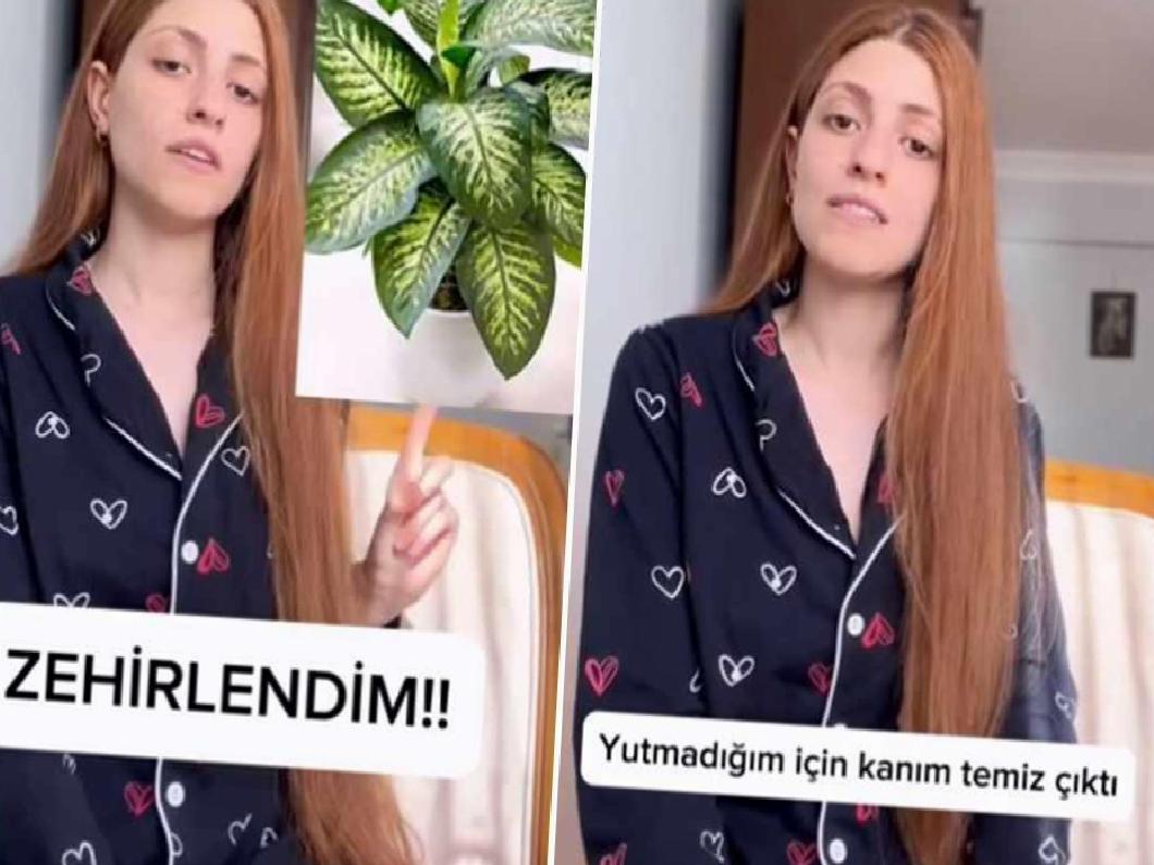 Bitkinin Zehirli Olduğu Bilinen Bir Gerçek Değildi