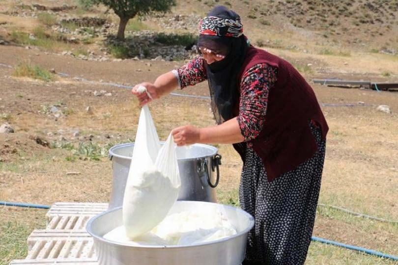 Yetkili Görüşler ve Uzmanlar
