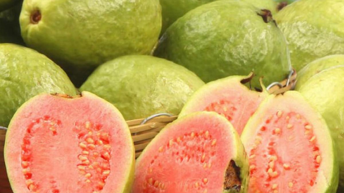 Guava Meyvesi Nasıl Tüketilir?