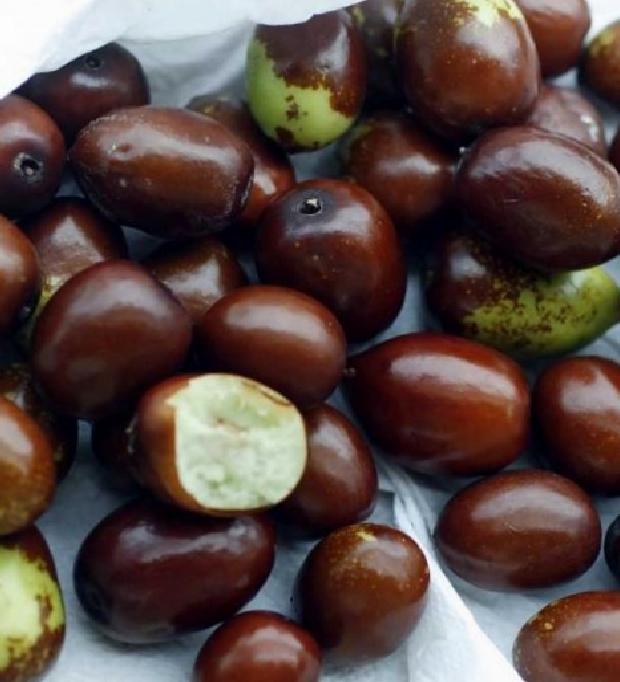 İçeriği ve Besin Değerleri