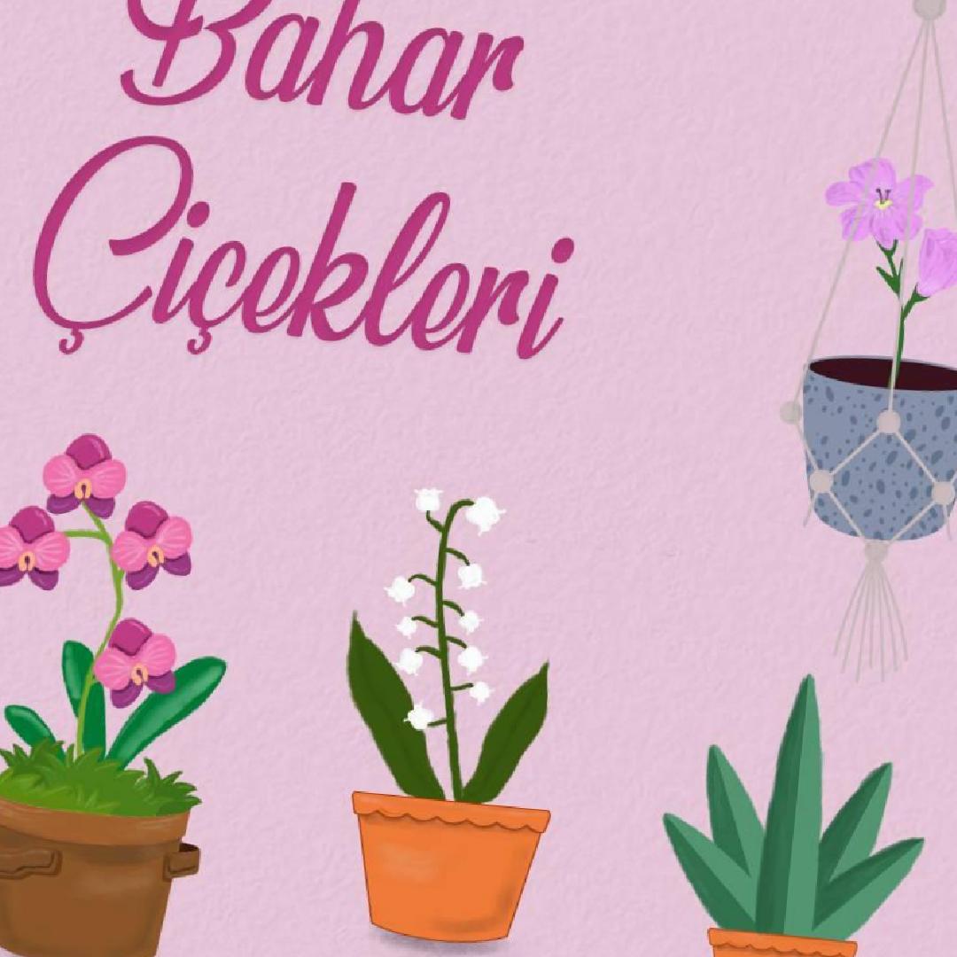 Mayıs Ayının En Güzel Çiçekleri ve Bakım İpuçları