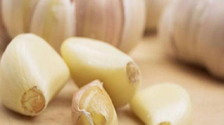 Uzmanların Uyarıları ve Bilimsel Gerçekler