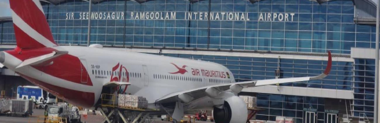 Gözaltına Alınanlar ve Ele Geçenler