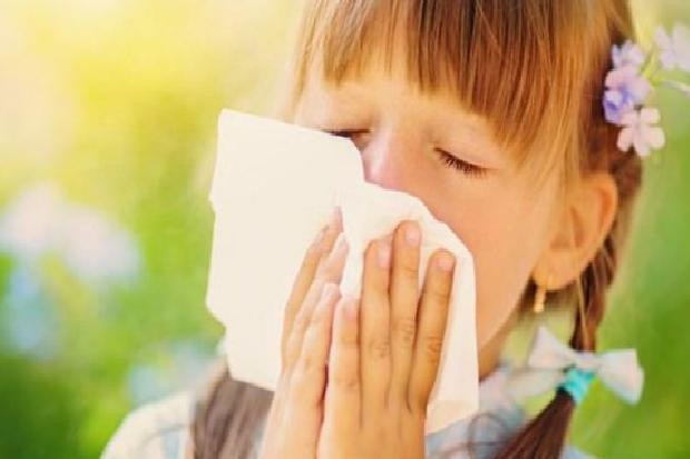 Alerji Nedir ve Nasıl Gelişir?