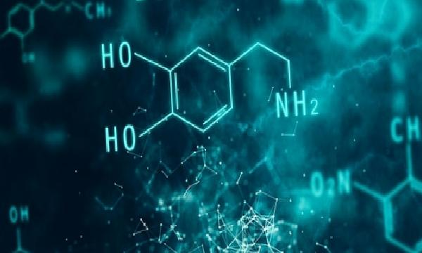 Hormonların Duygular ve Göz Bebekleri Üzerindeki Etkisi