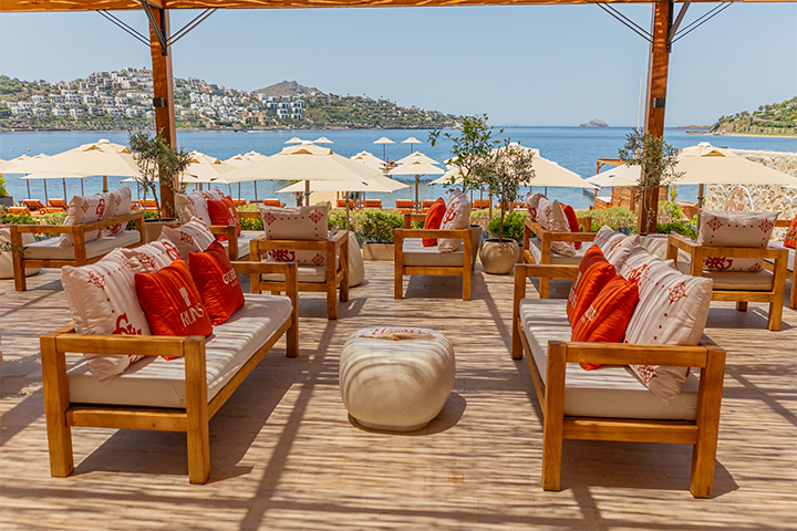 Marka Stratejisi ve Gelecek Planları