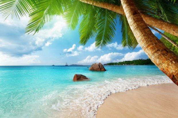 Güneş Yanıklarının Yaz Aylarındaki Etkisi ve Tehlikeleri