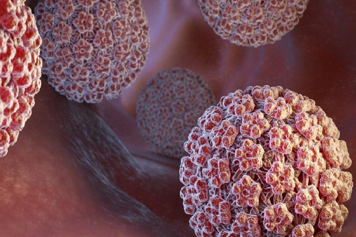 HPV Nasıl Bulaşır? Enfeksiyonun Yayılma Yolları