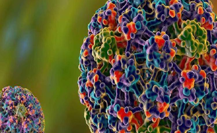 HPV Virüsü Belirtileri ve Klinik Tablo